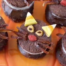 Halloween Oreo Cupcake Cats w/ Chocolate Avocado Frosting {gluten-free + fruit toppings}