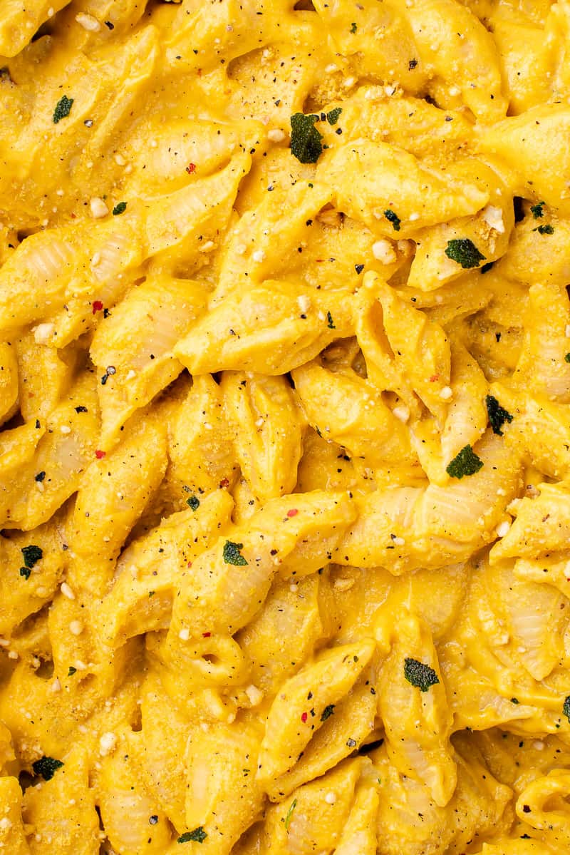 Close up of vegan Pumpkin Pasta