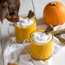 Puppy Spice Latte - Dog Friendly Fall Smoothie {vegan}