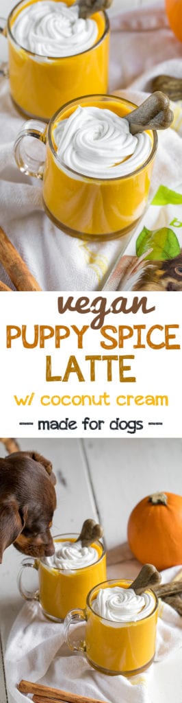 Puppy Spice Latte - Dog Friendly Fall Smoothie {vegan} sweetsimplevegan.com