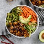 Get ready to dive into your new favorite entree! This restaurant-style teriyaki tofu bowl makes for the perfect for a lunch or dinner at home or meal on the go! #onthego #work #school #teriyaki #sauce #homemade #vegan #veganjapanese #condiment #oilfree #healthier #entree #lunch #dinner #mustmake #easyvegan #foolproof