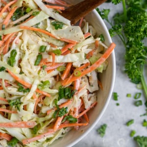 A quick & easy vegan coleslaw recipe just like what we remember digging into growing up. It's creamy and crunchy with the perfect amount of bite, plus it only takes 10 minutes to make! #thebest #vegan #coleslaw #summer #recipe #side #appetizer #pulledjackfruit #barbecue #sandwiches #salad #veganparty #lastminuterecipe #quickrecipe #easyvegan #sweetsimplevegan