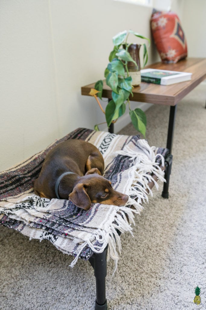 Pet Cot / Place-Board