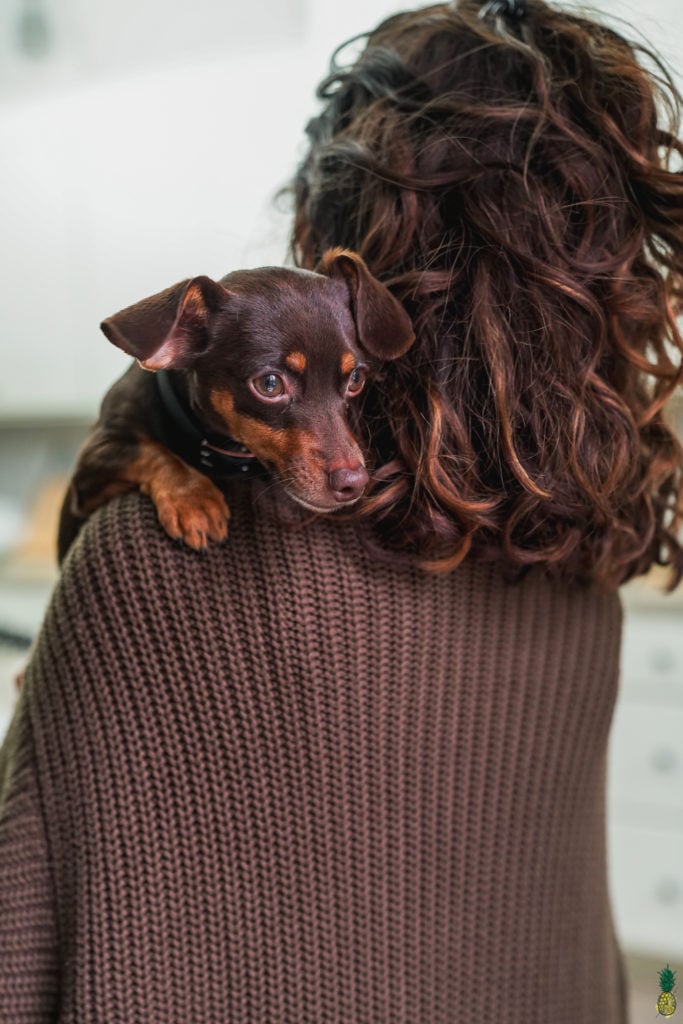 Weiner dog on girl's shoulder