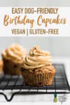 Close up shot of vegan and gluten free birthday cupcakes with peanut butter yogurt frosting pinterest