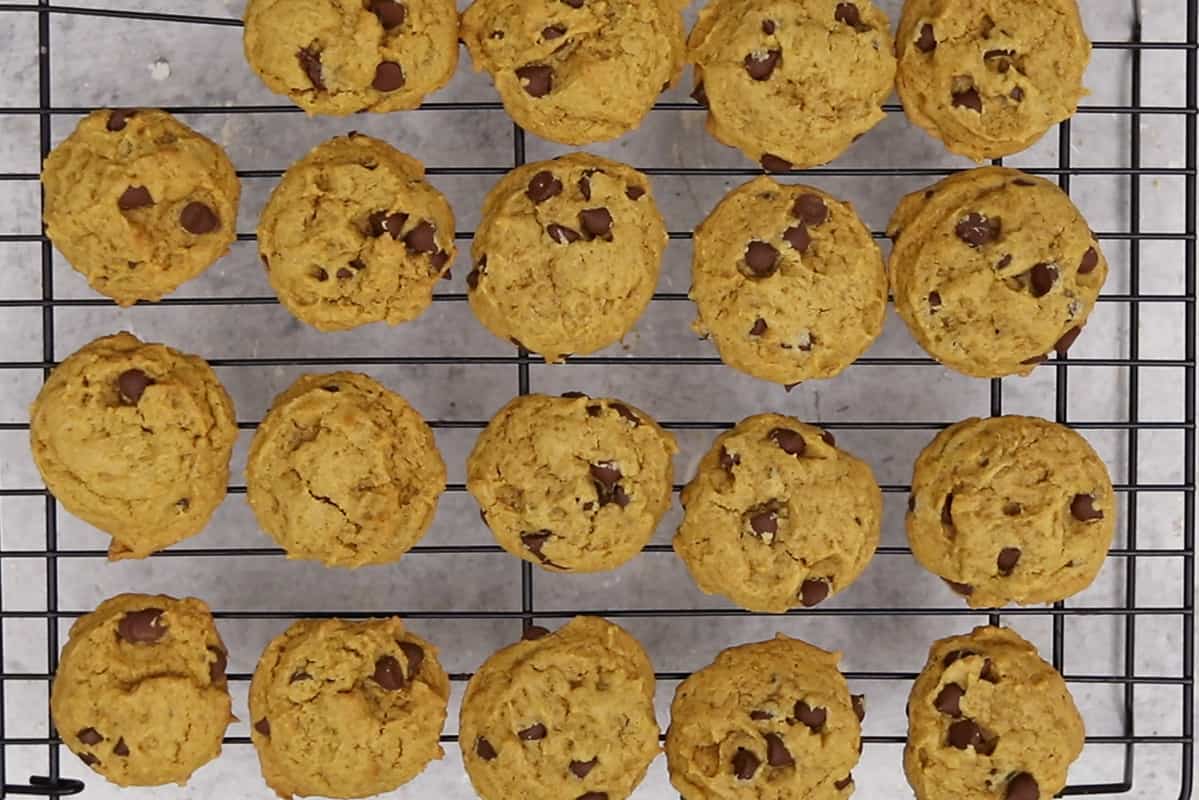 pumpkin chocolate chip cookies on black wire cooling rack