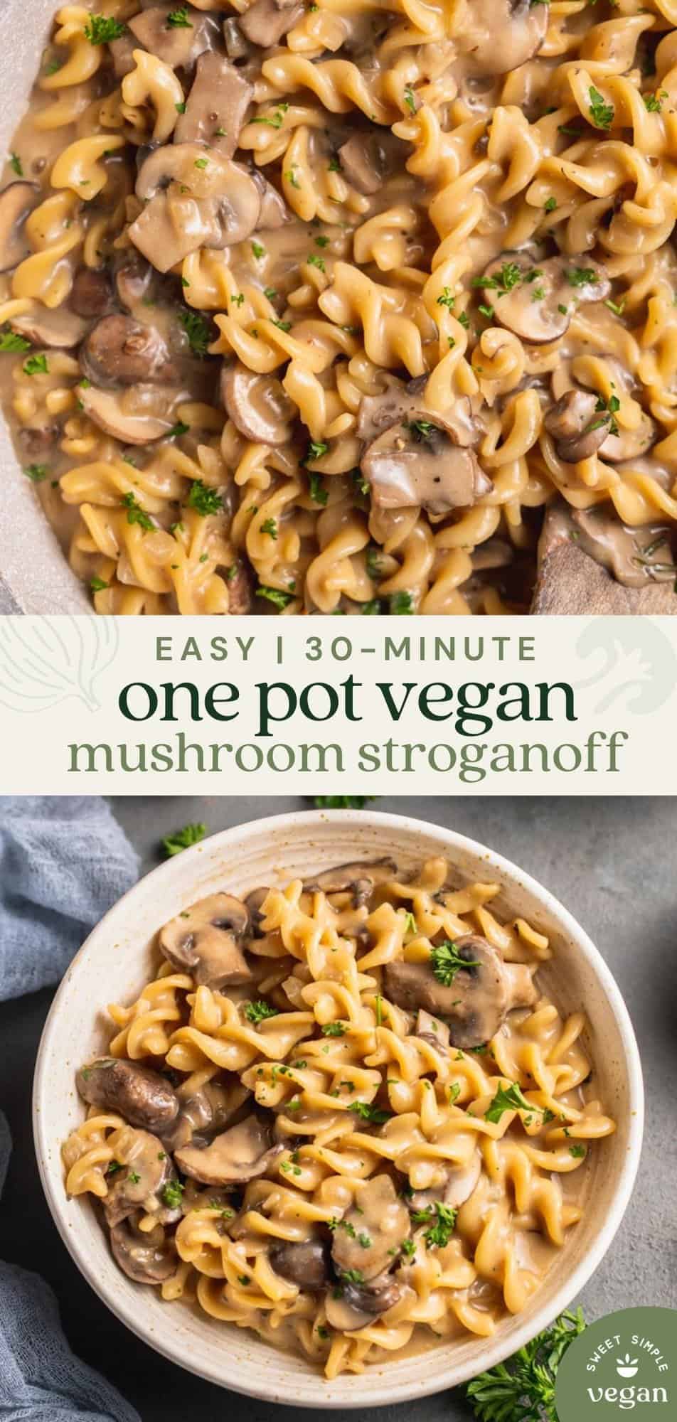 Pinterest Image with bowl of stroganoff and large pot on top