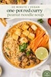 overhead macro image of red curry peanut noodle soup with text for pinterest