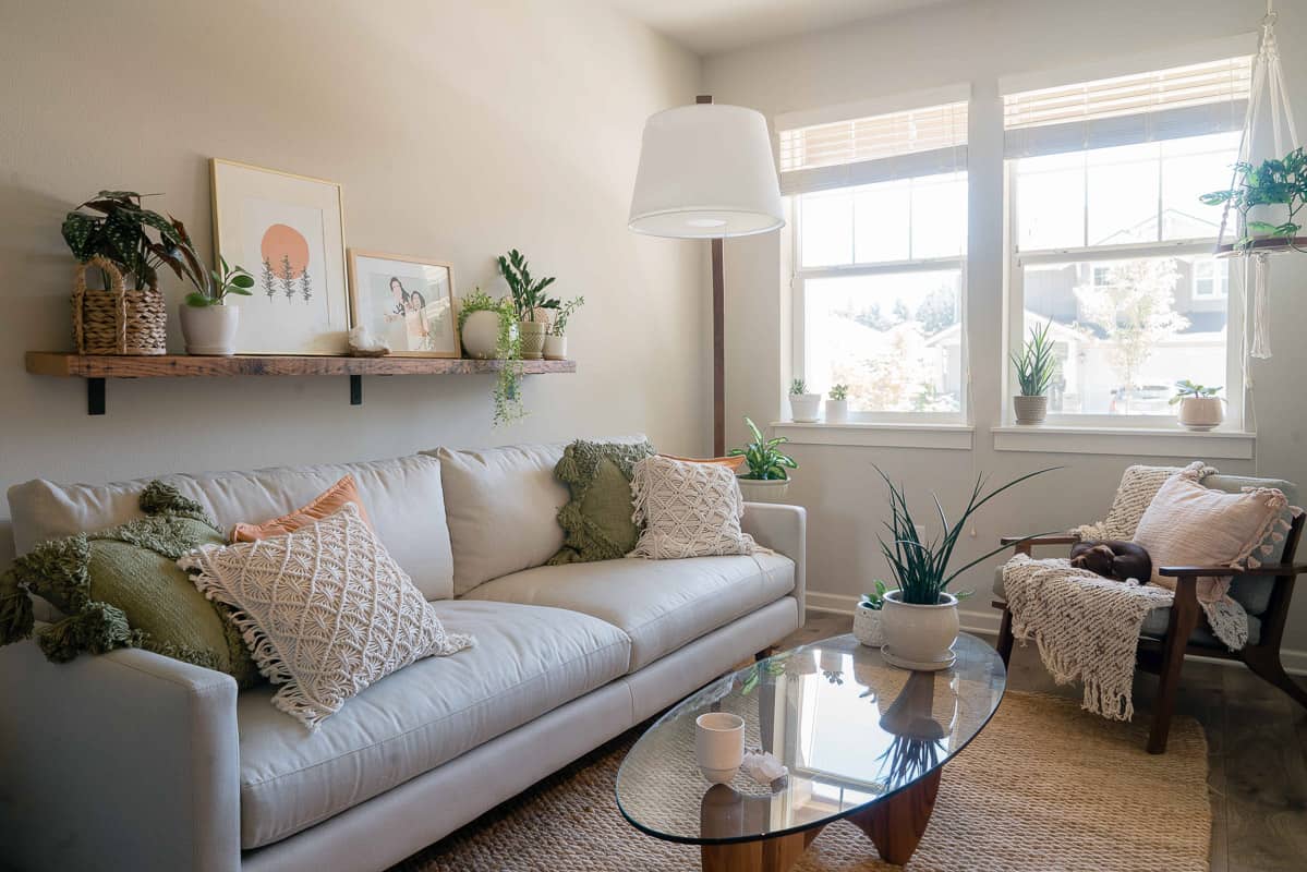 after image of the front of the room with plant, shelf and couch