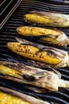 charred corn on the grill