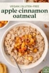 vegan gluten-free apple cinnamon oatmeal image for pinterest