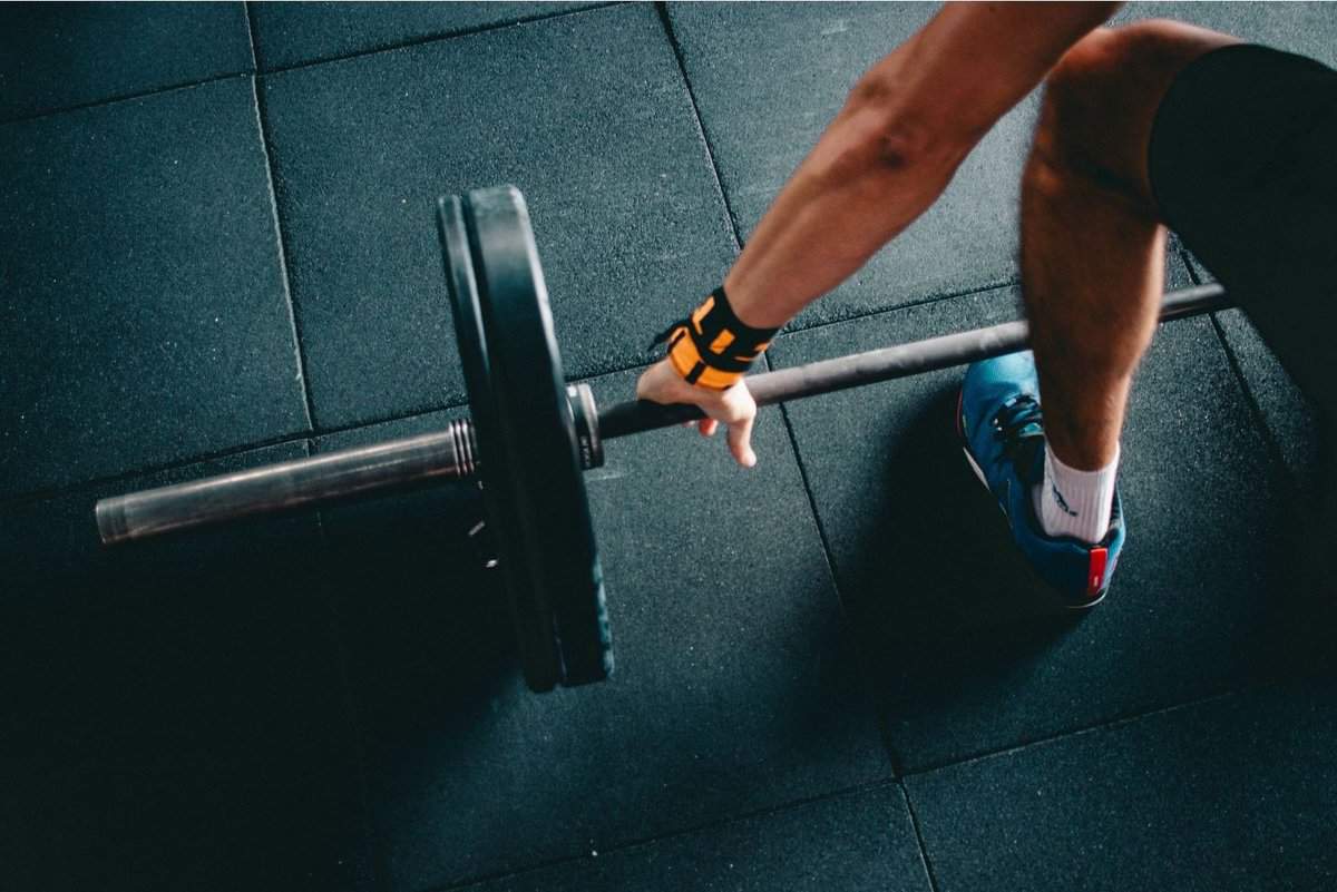 photo of person picking up barbell with weights for vegan Nutrition myths debunked