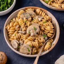 Instant Pot Mushroom Stroganoff