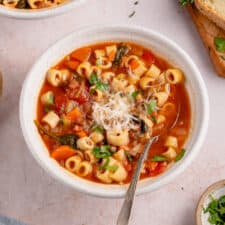 Instant Pot Lentil Noodle Soup