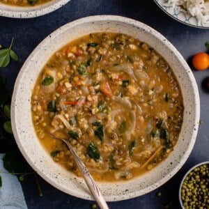 vertical image of bowl of mung bean soup