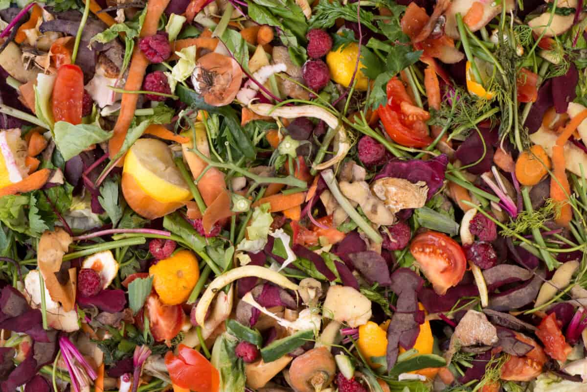 vegetable food waste compost