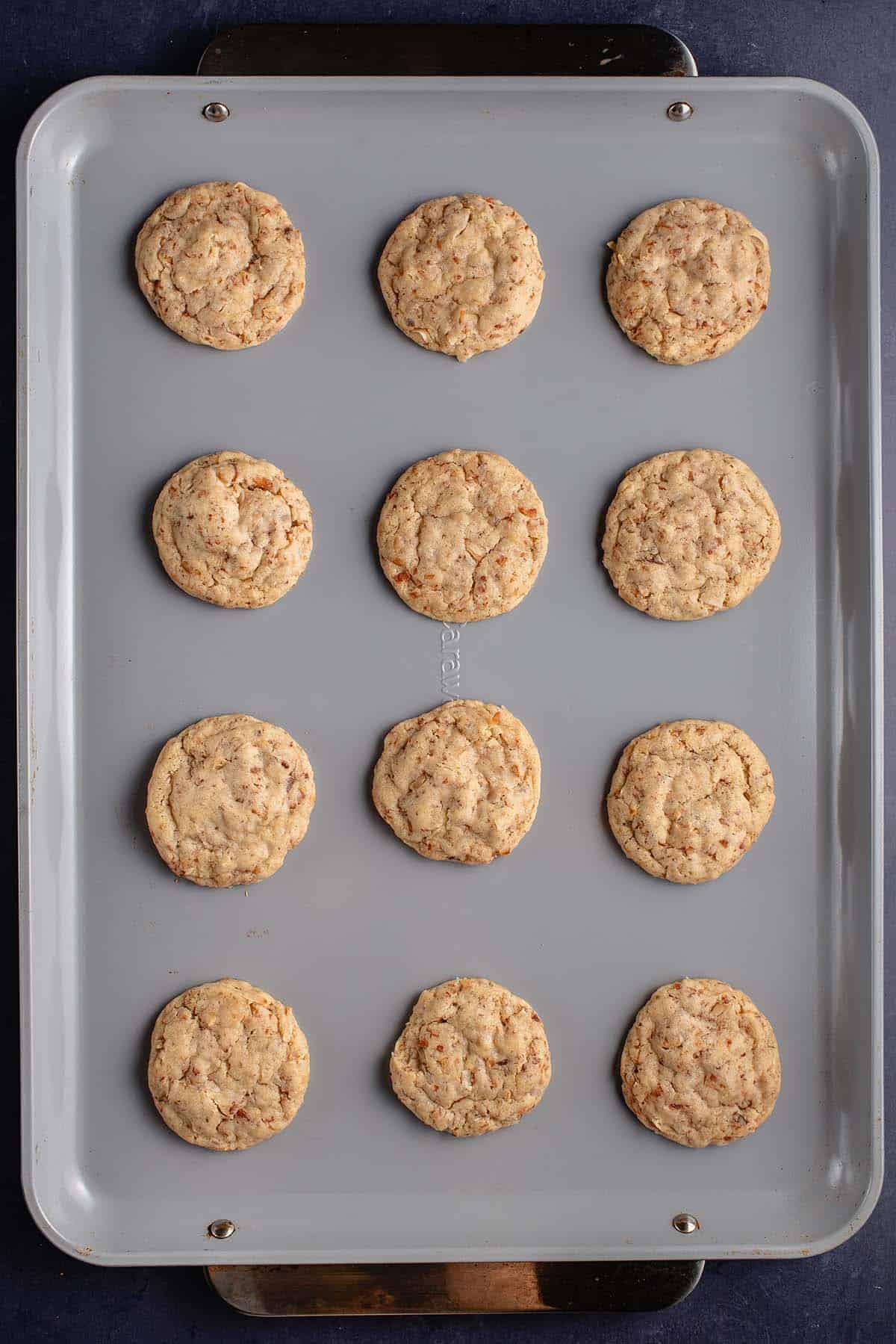 toasted coconut sugar cookies on baking sheet