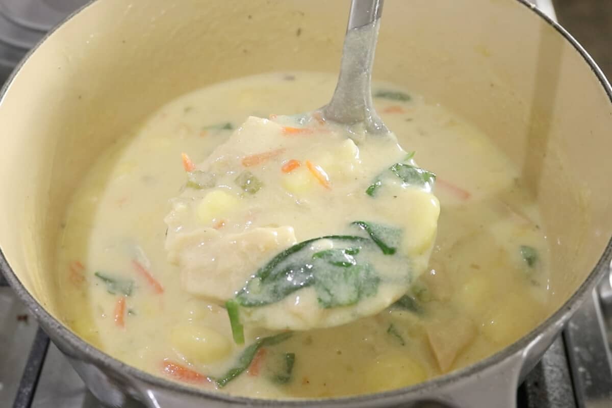 ladle filled with Vegan Chicken Gnocchi Soup