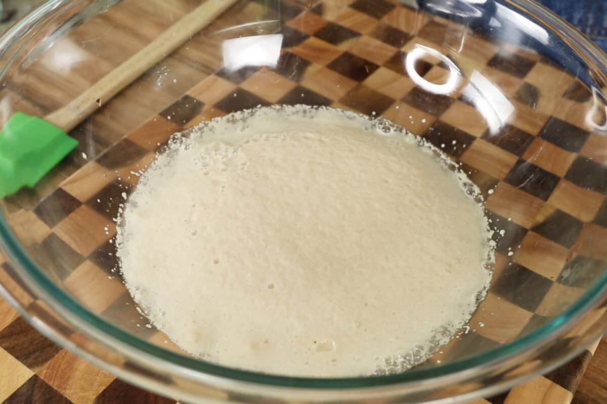 step by step - activated yeast in bowl