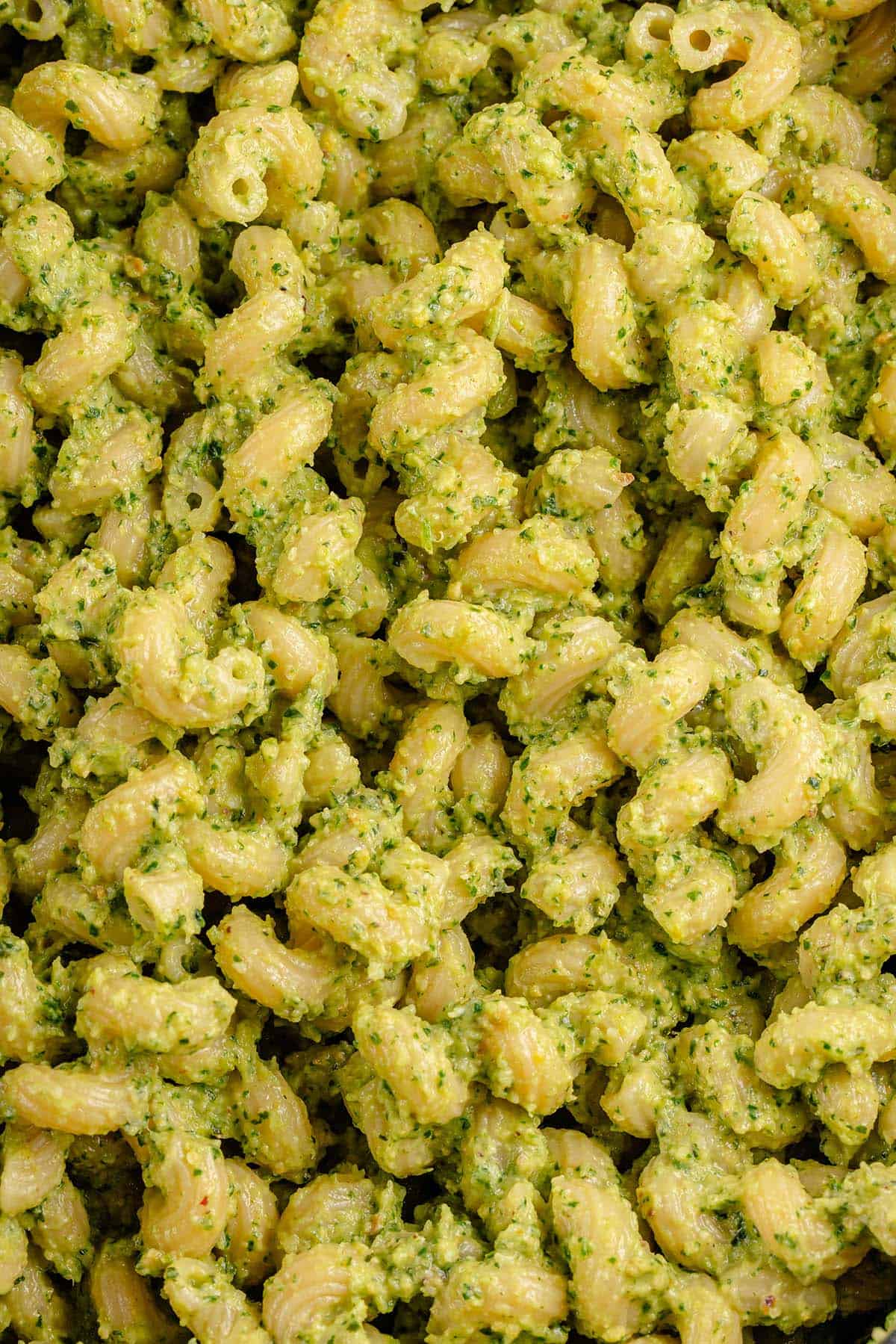 up close of spiral noodles covered in zucchini pesto pasta sauce