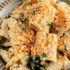 plate of spinach artichoke pasta topped with bread crumbs