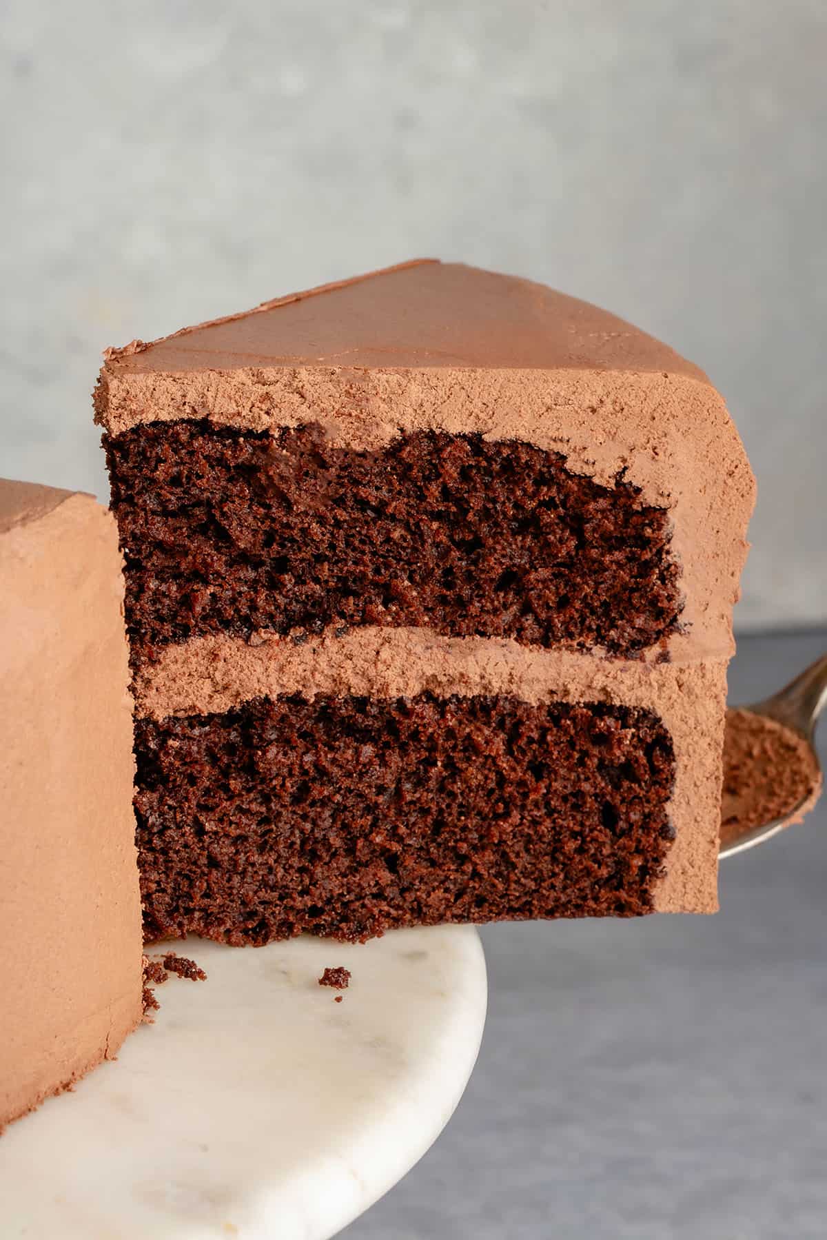 a slice of chocolate cake on a spatula