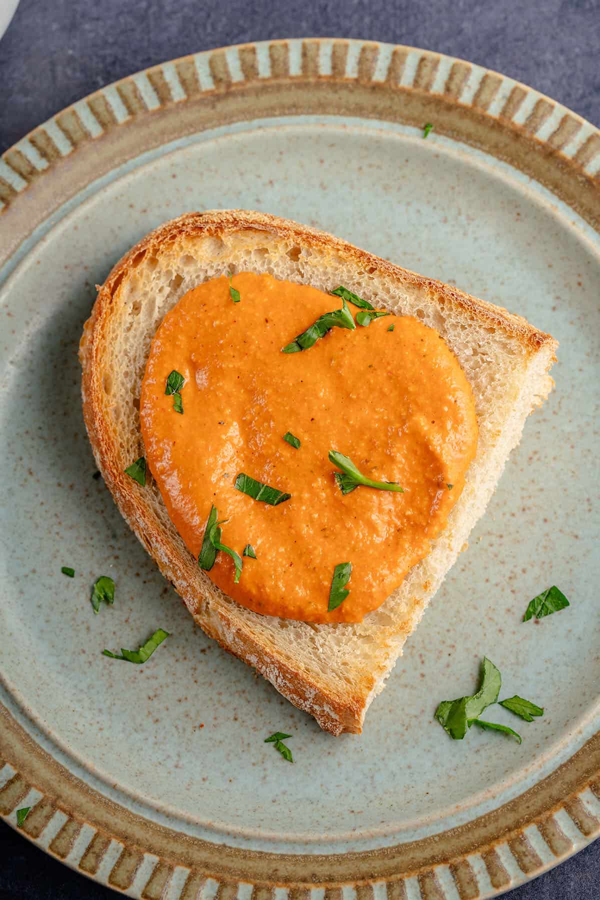 blue plate with romesco sauce topped bread