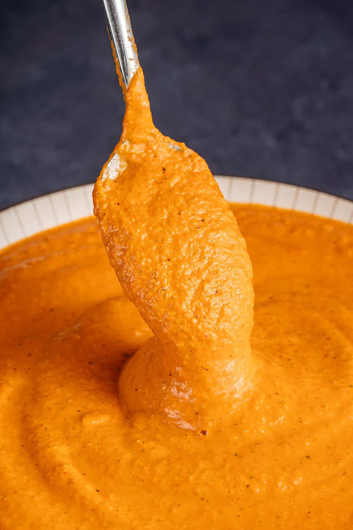 Spoon full of romesco sauce in a bowl