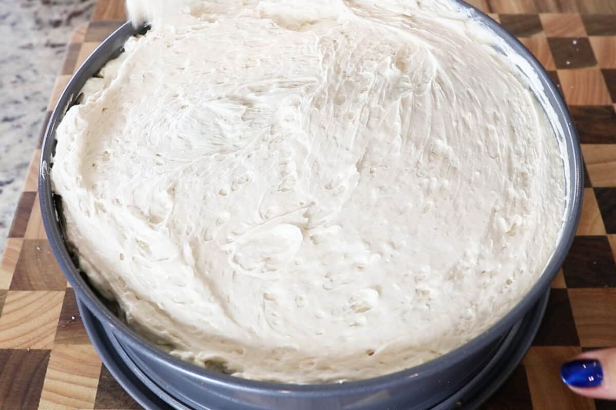 cheesecake filling in a springform pan