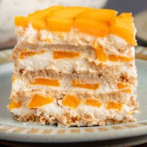 mango float showing the layers from the side