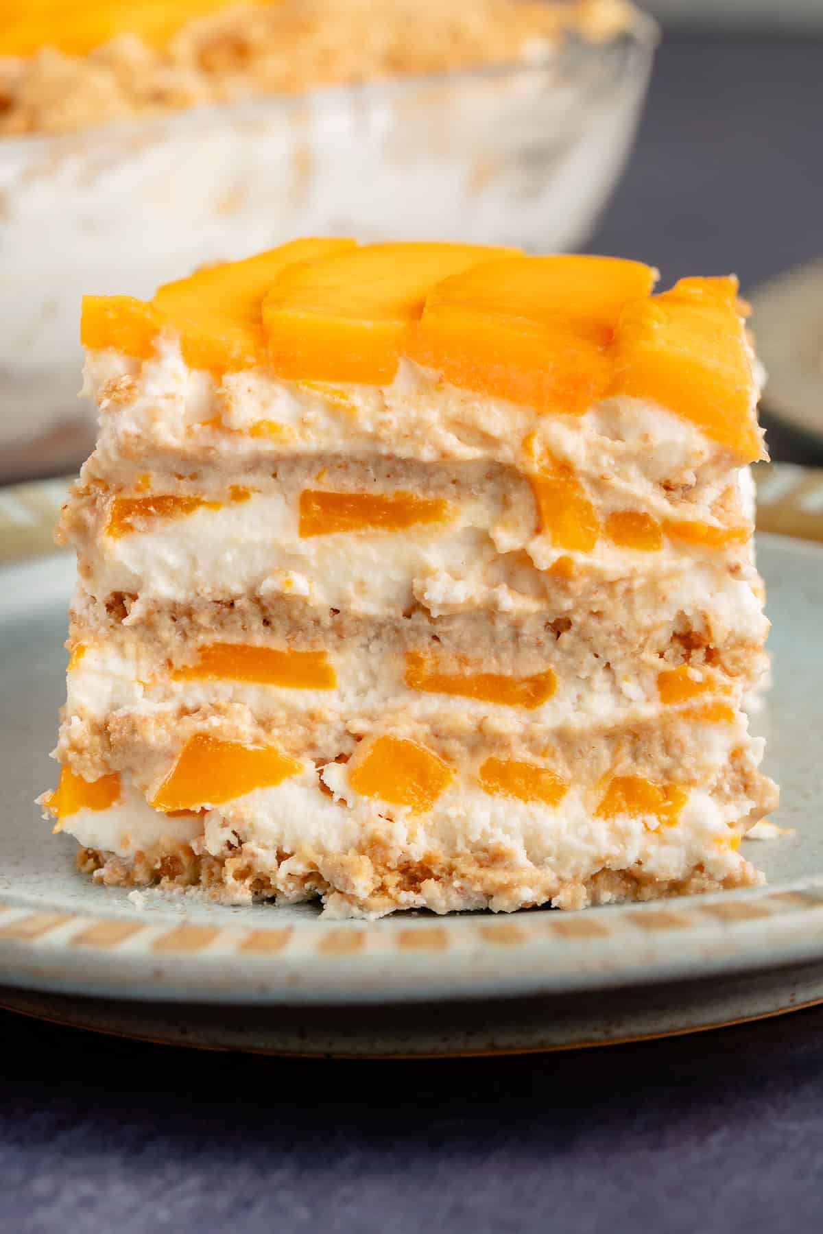 mango float showing the layers from the side