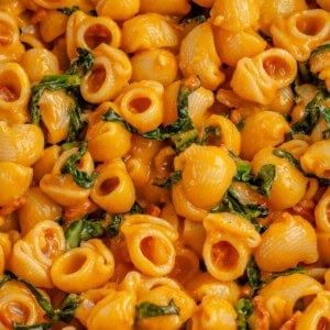 close up photo of creamy vegan pumpkin mac and cheese in pan