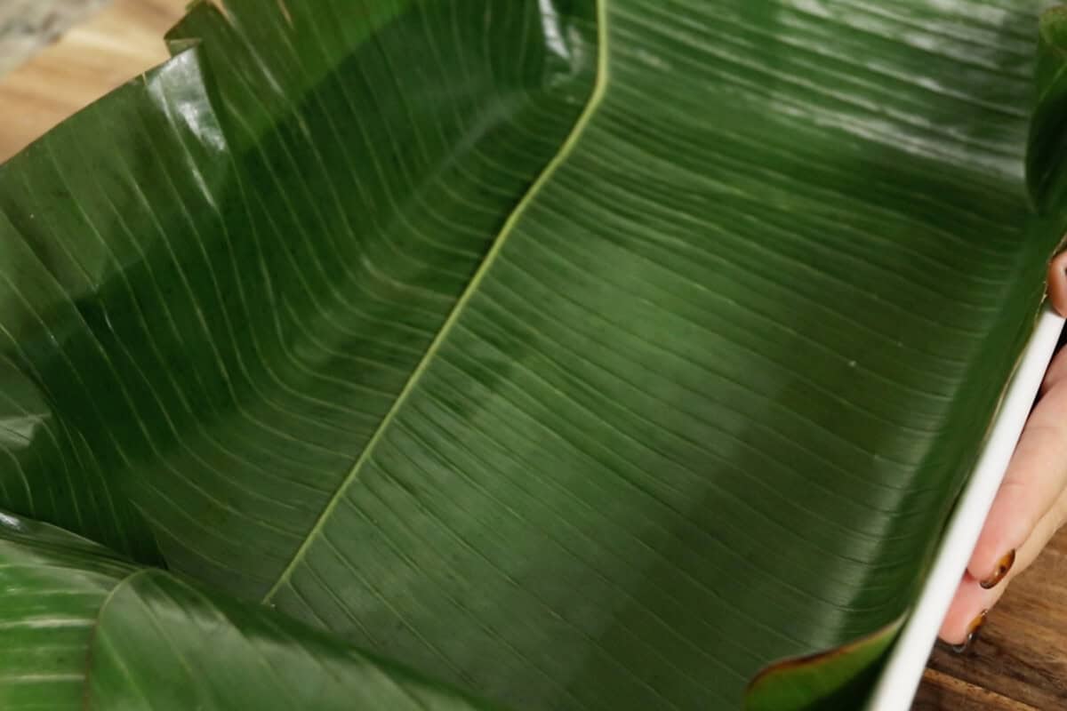 lining a baking dish with banana leaves