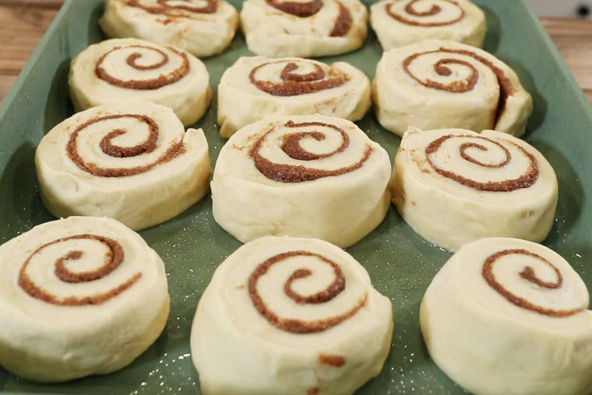 cinnamon rolls before rising in tray