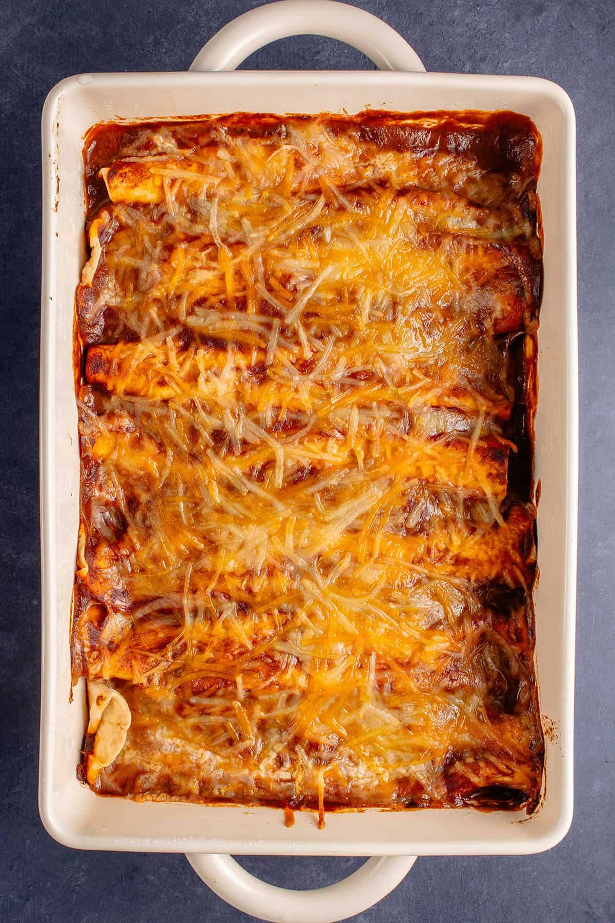 overhead of enchiladas in a baking dish without garnish