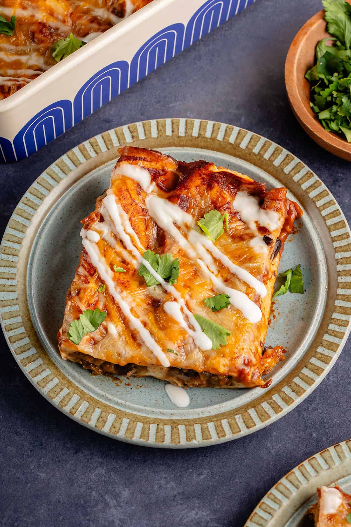 enchiladas on a plate with the baking dish in the background