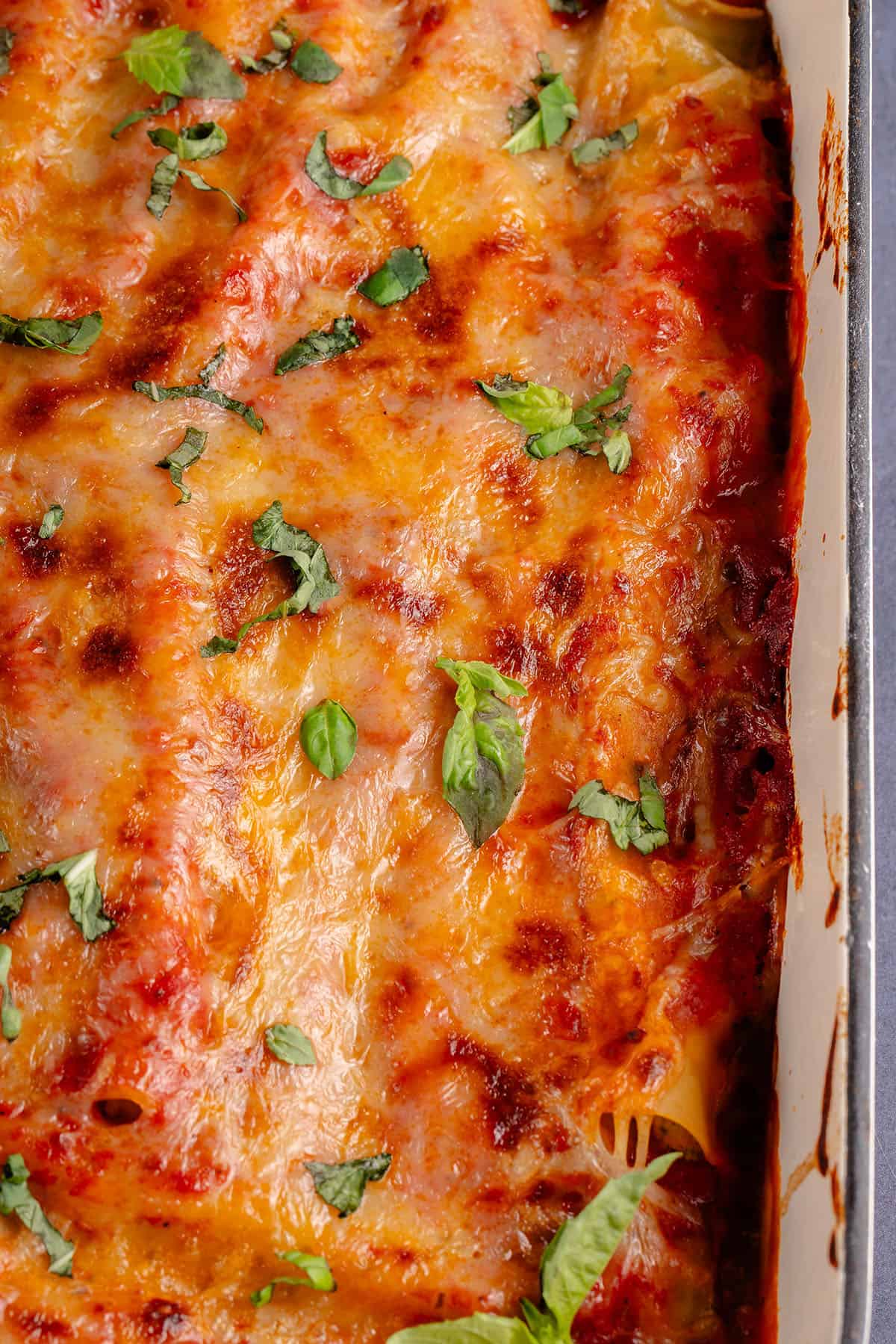 close up of baked manicotti with fresh basil