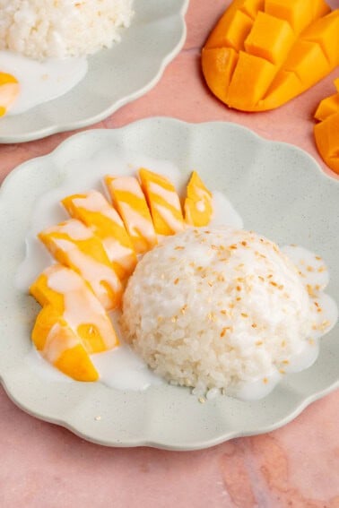 photo of mango sticky rice on a blue plate on a pink table