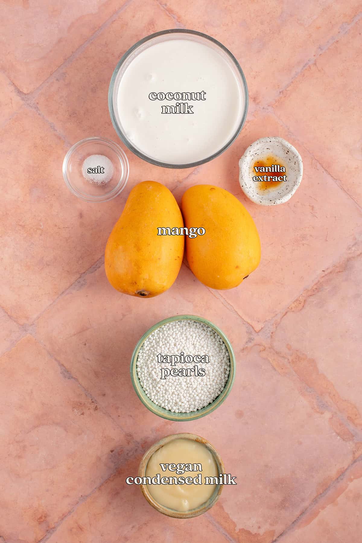 labeled ingredients for mango sage (tapioca pudding): coconut milk, salt, vanilla extract, fresh mango, tapioca pearls and vegan condensed milk