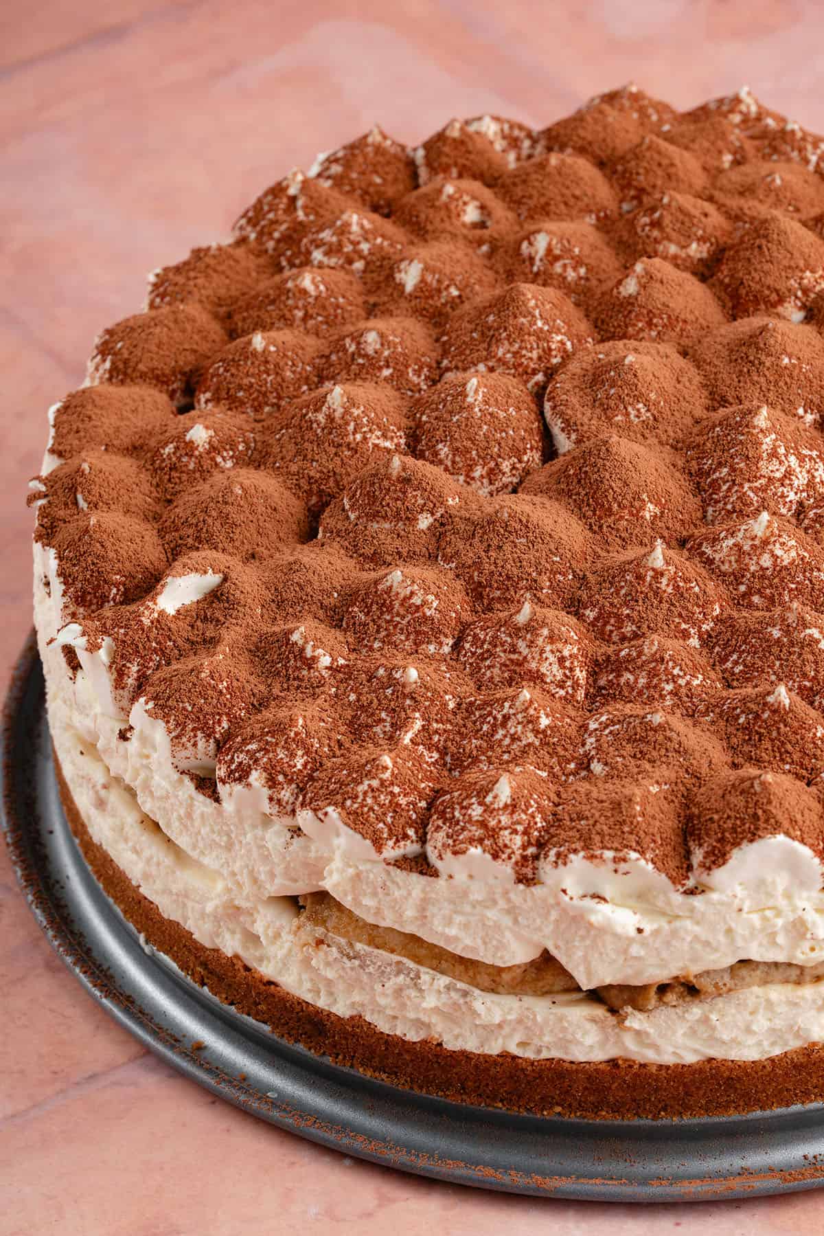 whole tiramisu cheesecake on pink backdrop