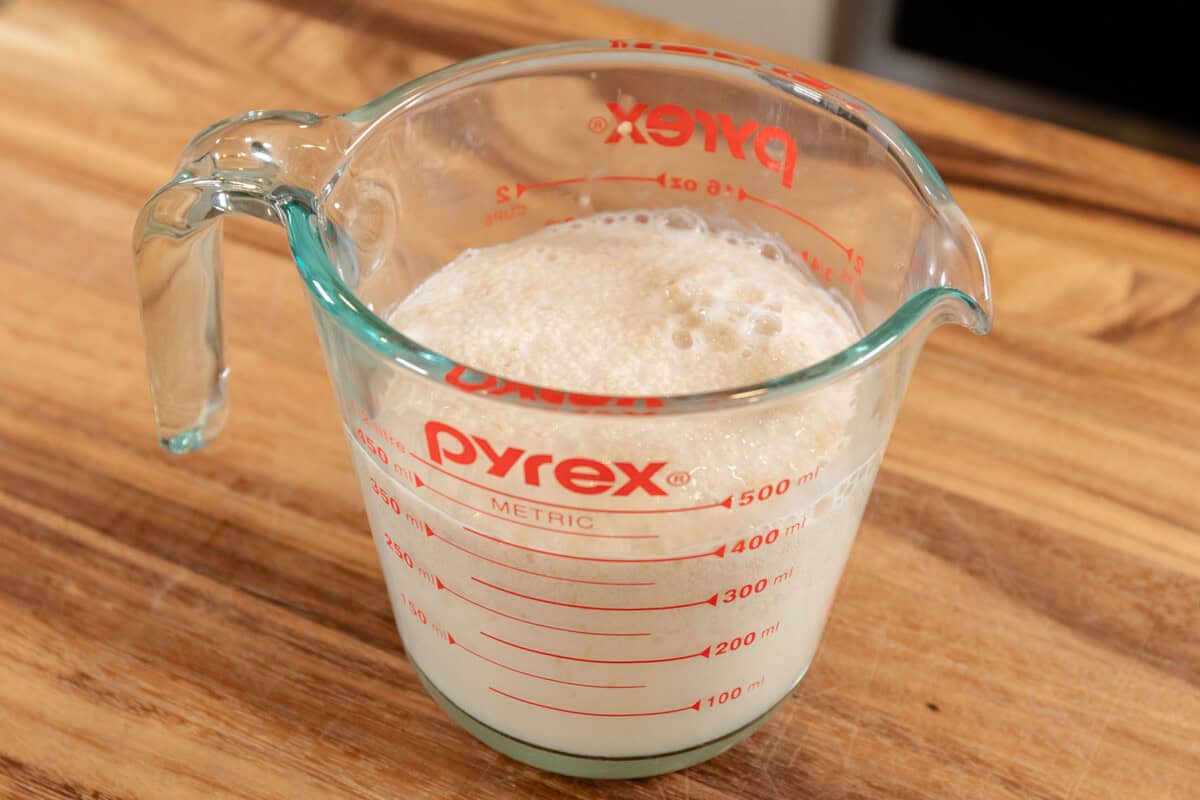 activated yeast in measuring cup