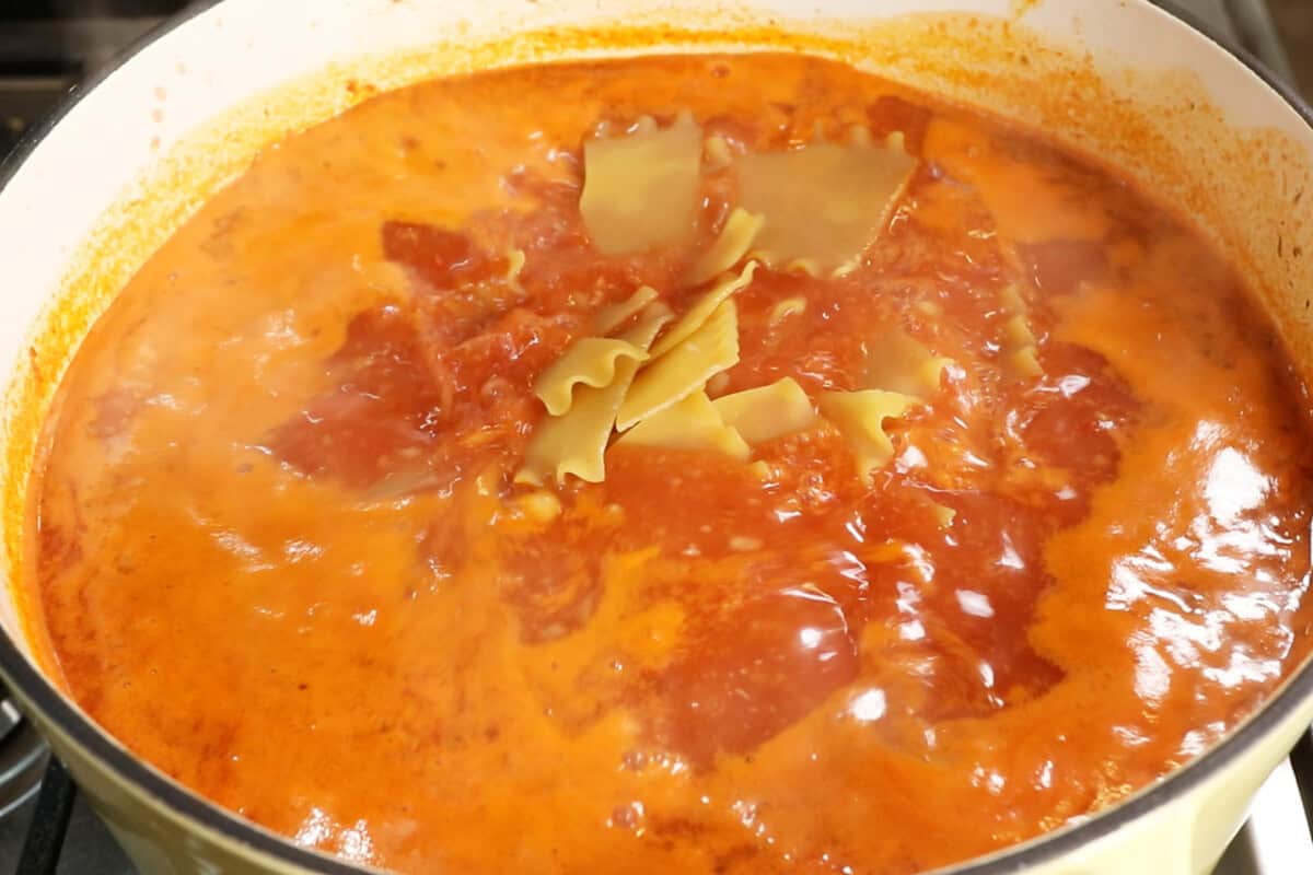 adding the broken up lasagna noodles