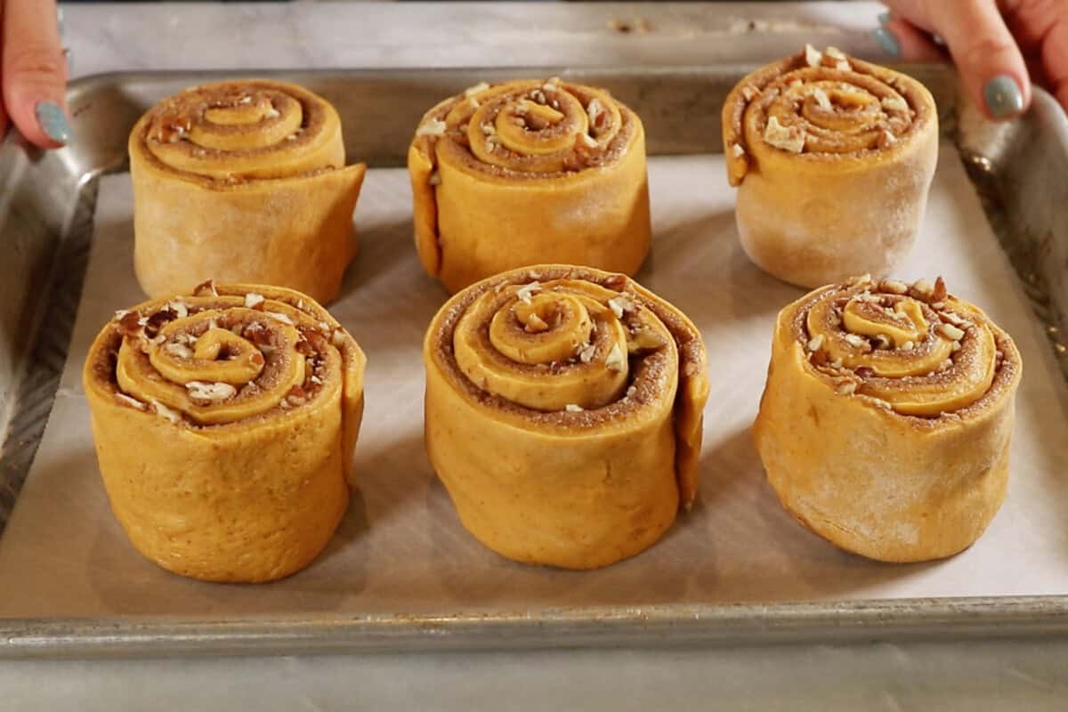 rolled up cinnamon rolls before rising