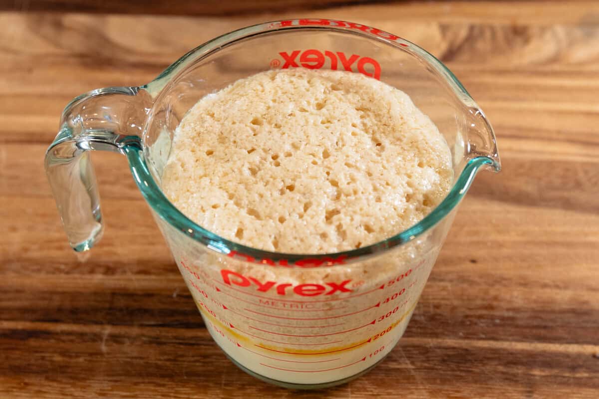 activated yeast in glass pyrex measuring cup