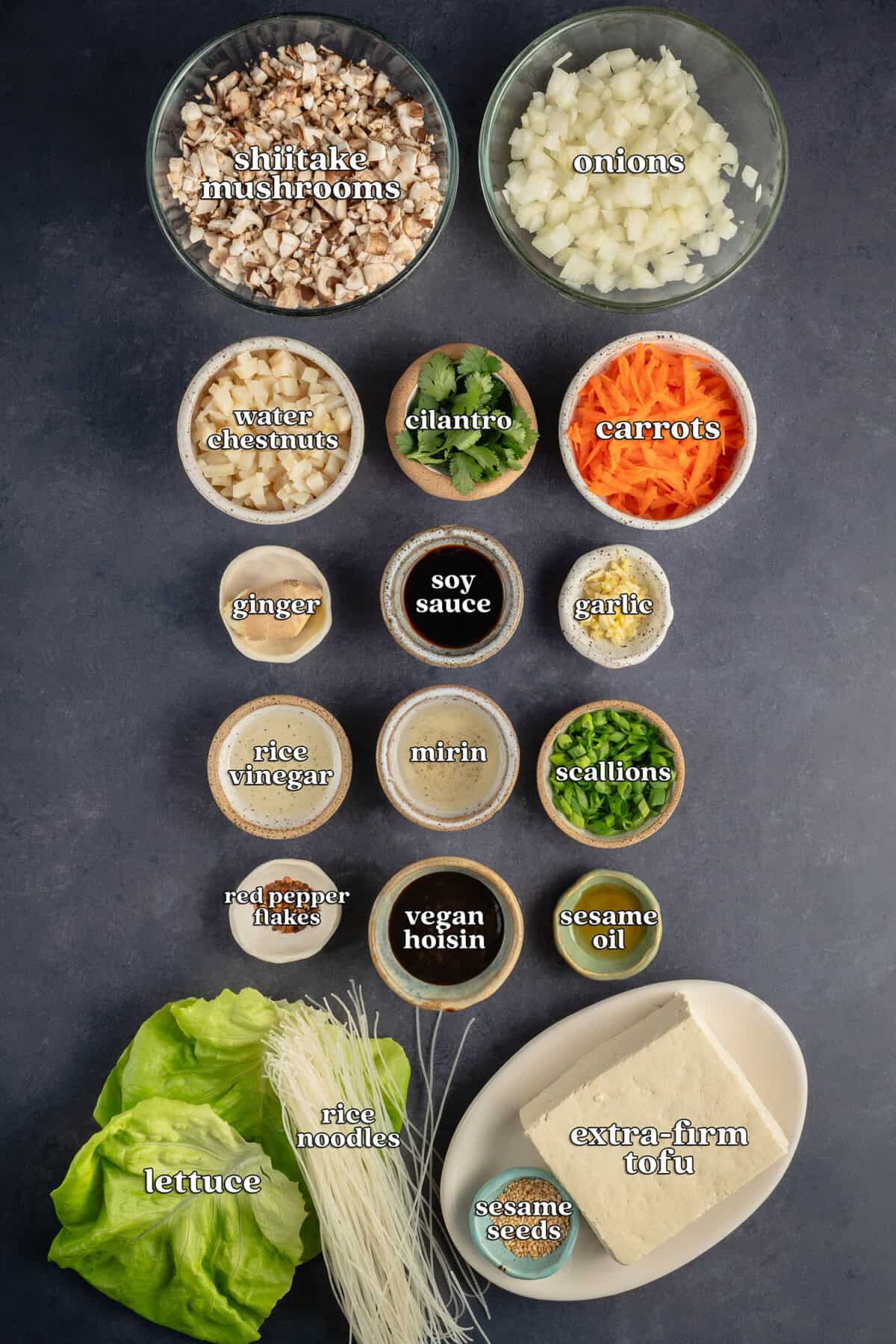 shiitake mushrooms, onions, water chestnuts, cilantro, carrots, ginger, soy sauce, garlic, rice vinegar, mirin, scallions, red pepper flakes, vegan hoisin, sesame oil, lettuce, rice noodles, sesame seeds, extra-firm tofu