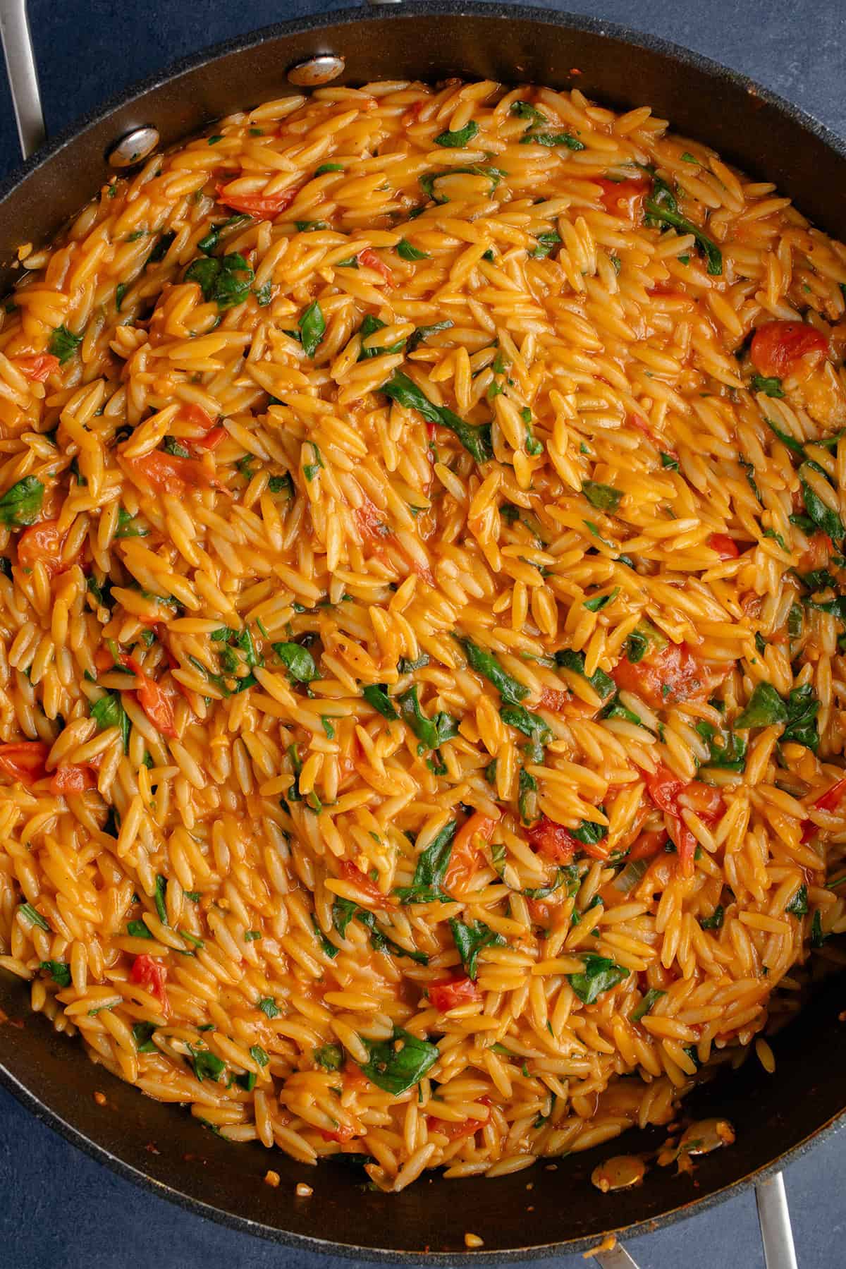 pot of creamy tomato orzo