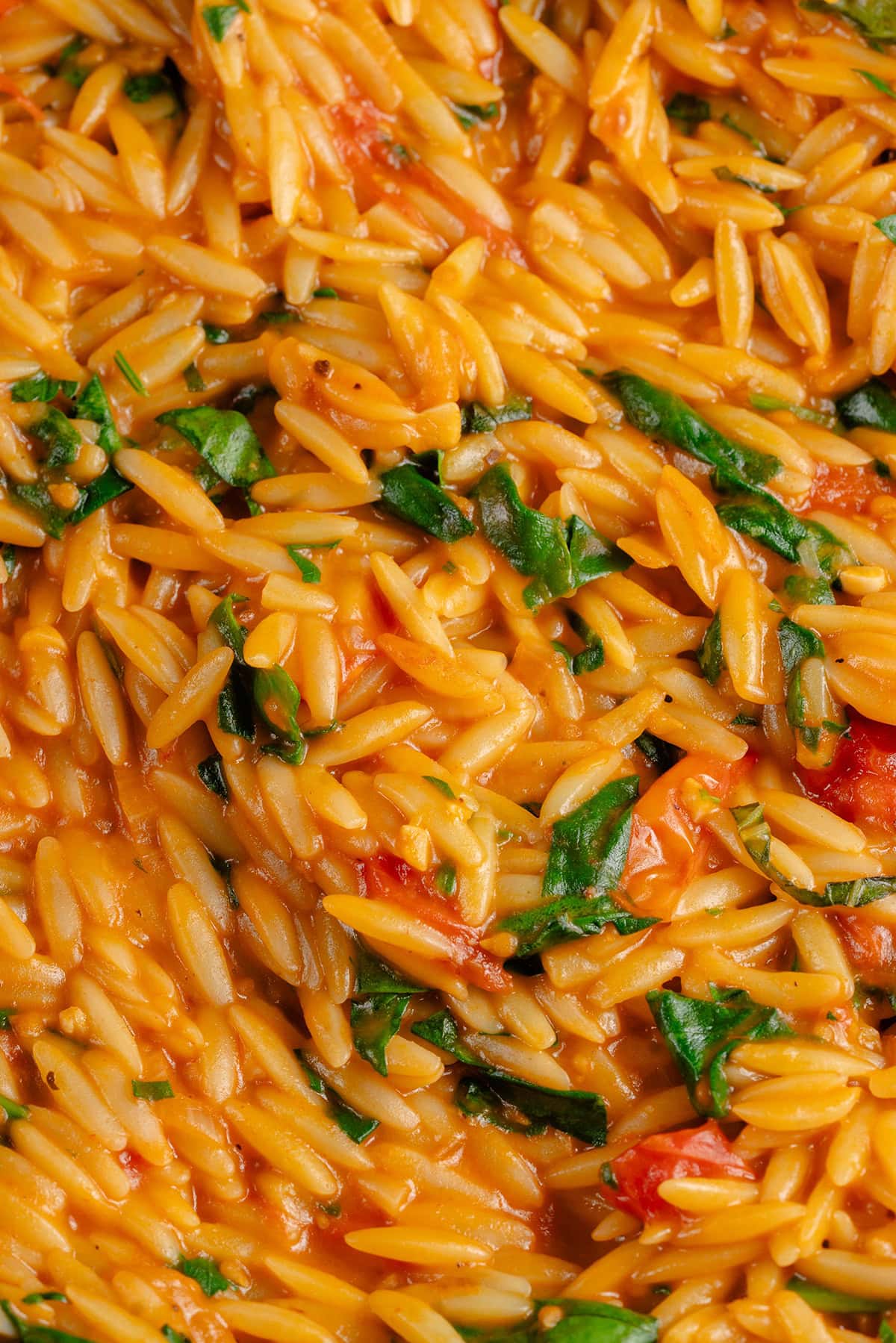 close up of creamy tomato orzo