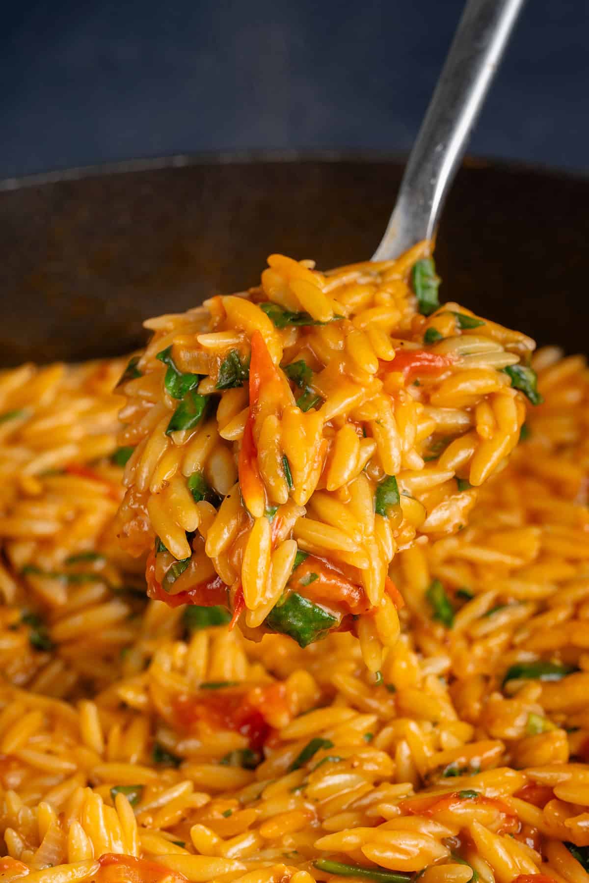 large spoonful of creamy tomato orzo coming out of pot