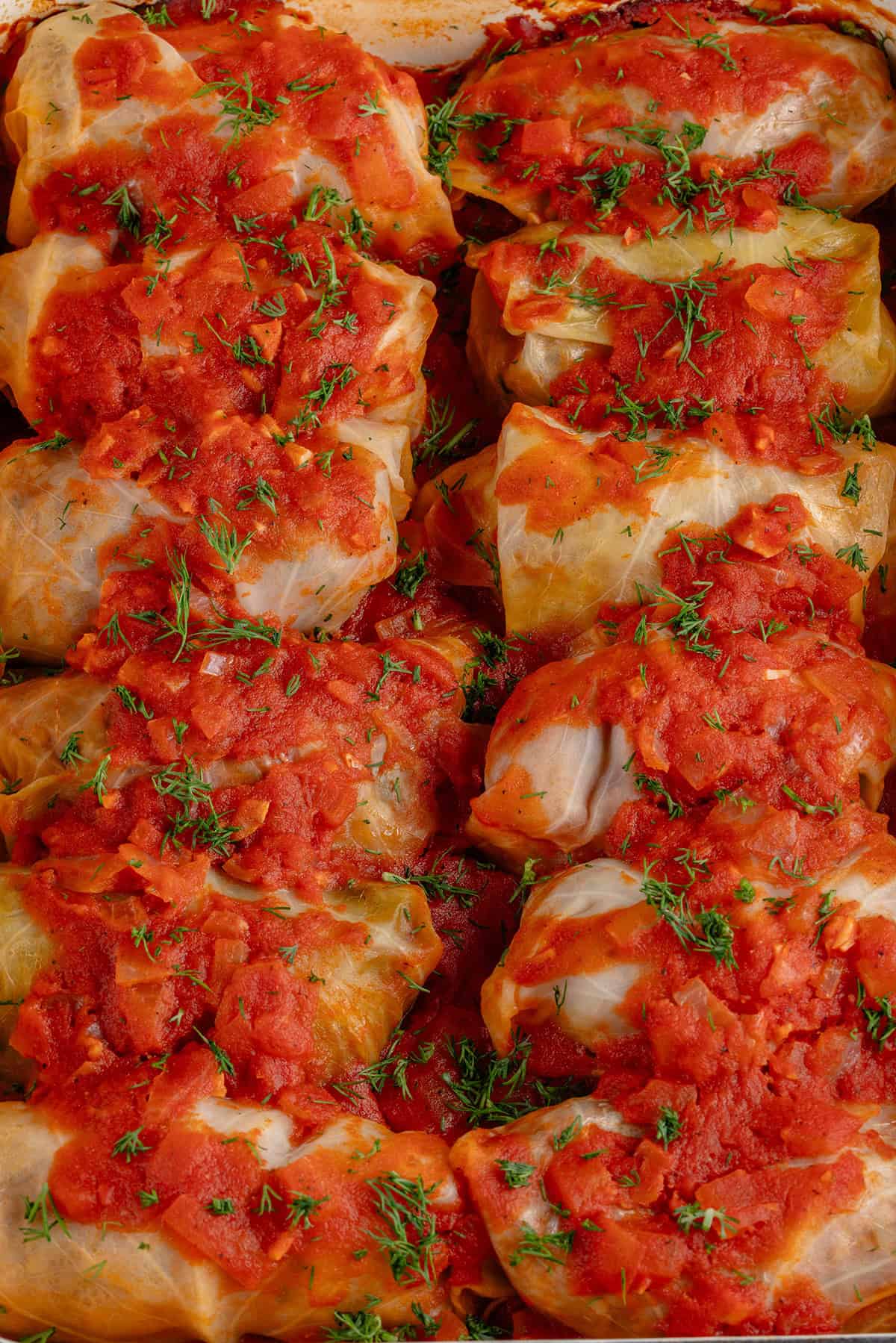 close up of stuffed cabbage rolls lined in baking dish topped with sauce and fresh dill