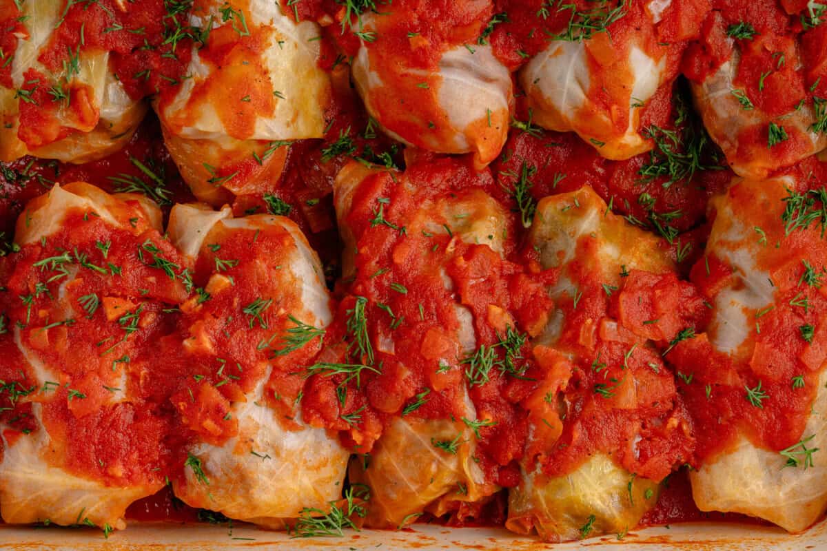 cabbage rolls lined up in baking dish topped with sauce and dill